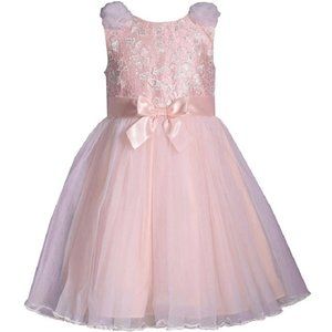 Bonnie Jean Girls 2T-6X Pink Tulle Ivory Embroidered Ballerina Dress